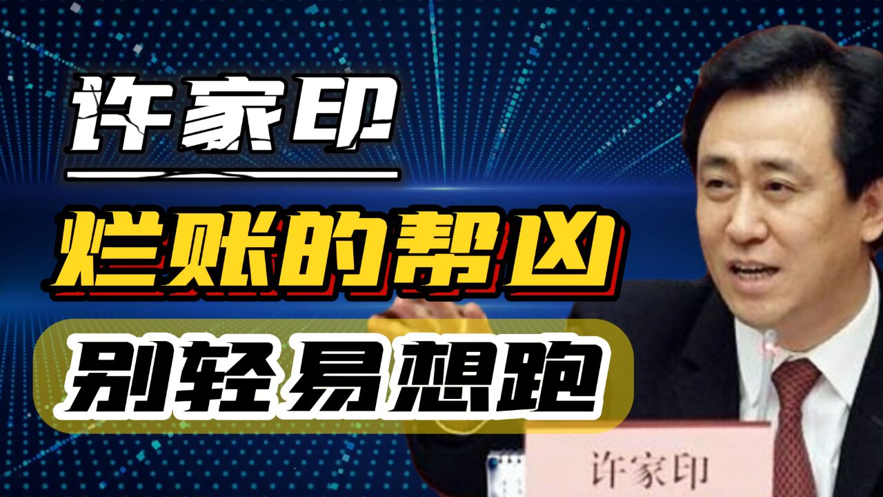 14年!为许家印的烂账保驾护航,怎能容忍一个外资公司在中国作恶