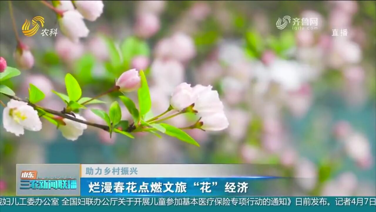 春暖花开,菏泽烟台等地不断丰富“花”业态,点燃文旅“花”经济