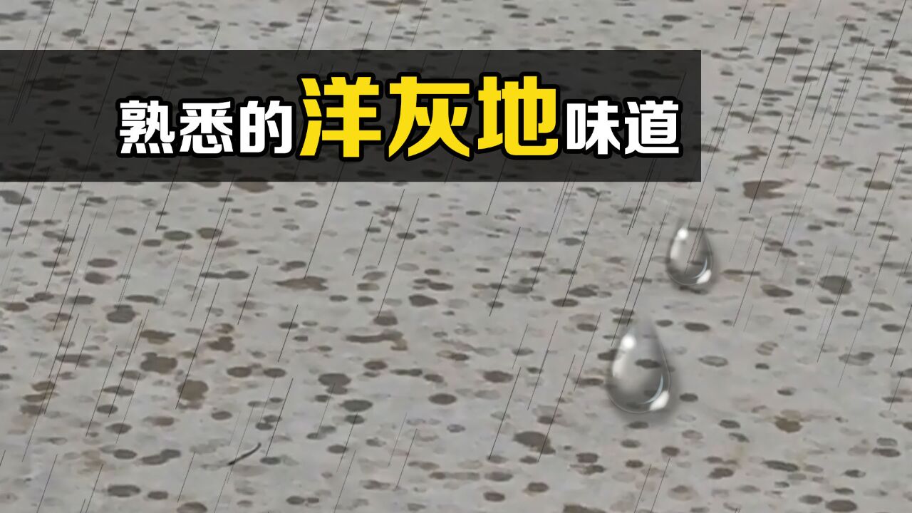 “潮土油”是什么?雨打在洋灰地上的味道,你还记得吗?