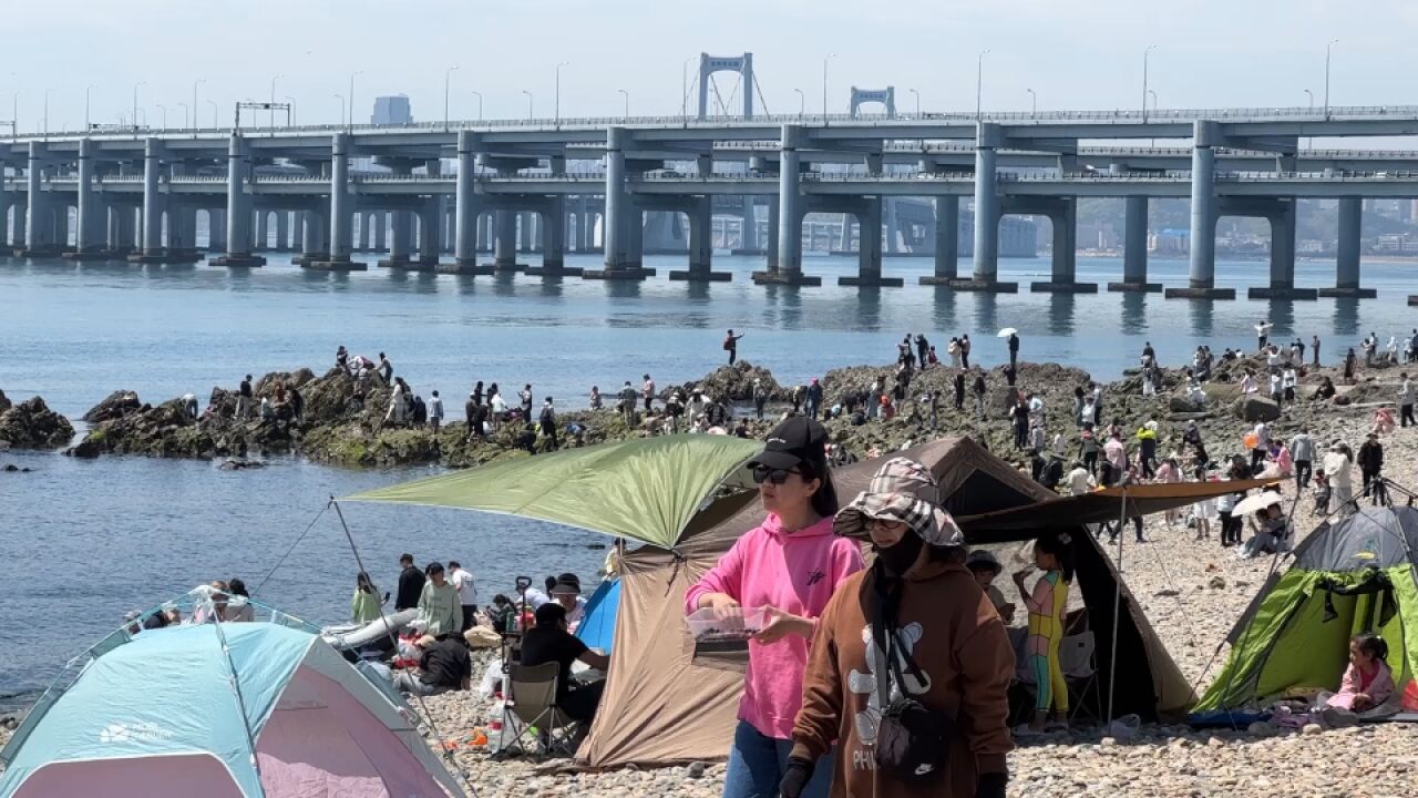 五一小长假大连海边开启野餐日光浴模式