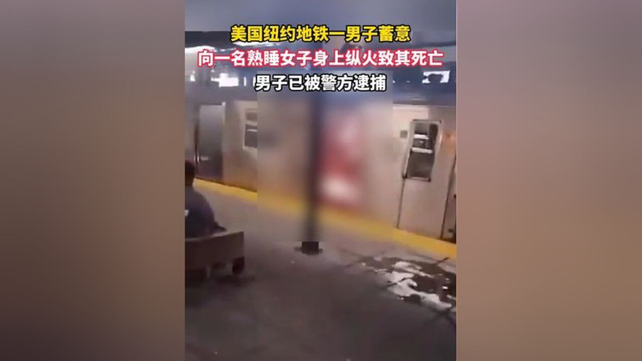 美国纽约地铁一男子蓄意向一名熟睡女子身上纵火致其死亡,男子已被警方逮捕