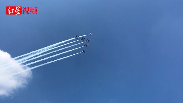 来了! “波罗的海蜜蜂”空降四川广汉