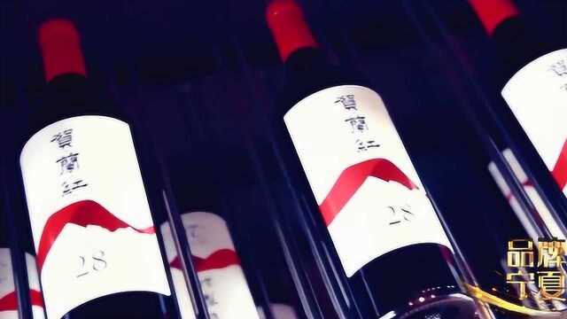 联合国总部餐厅指定用酒!宁夏葡萄酒,更是在国内外获奖无数!