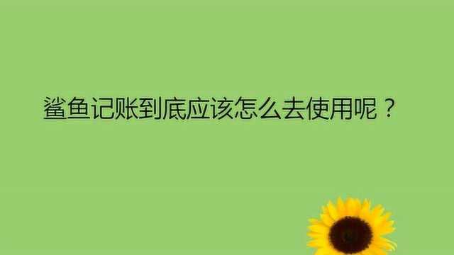 鲨鱼记账到底应该怎么去使用呢?