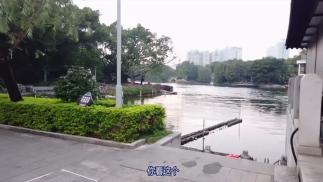 妖都必去的风景区,感受岭南风情,广州荔枝湾涌你游玩过吗?