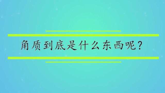 角质到底是什么东西呢?