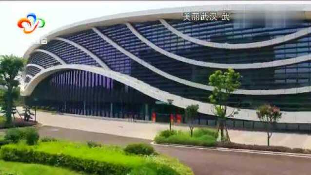 美丽武汉武汉商学院游泳馆