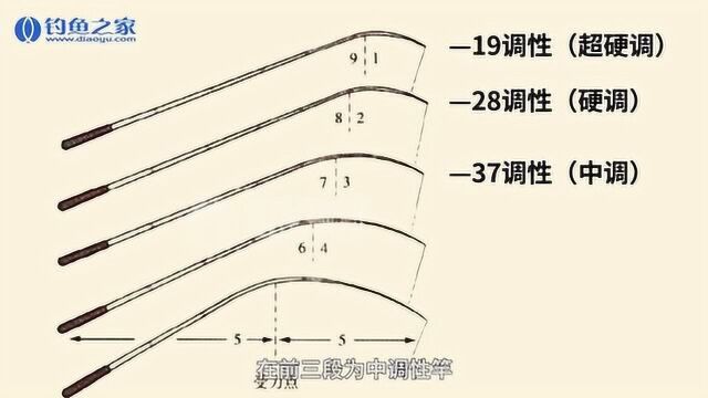 《钓鱼百科》什么是鱼竿的调性