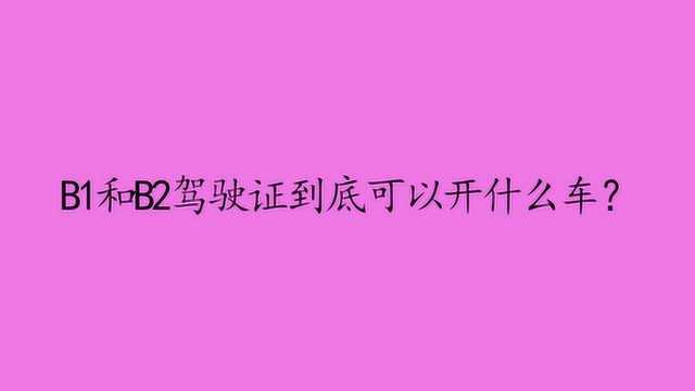 B1和B2驾驶证到底可以开什么车?