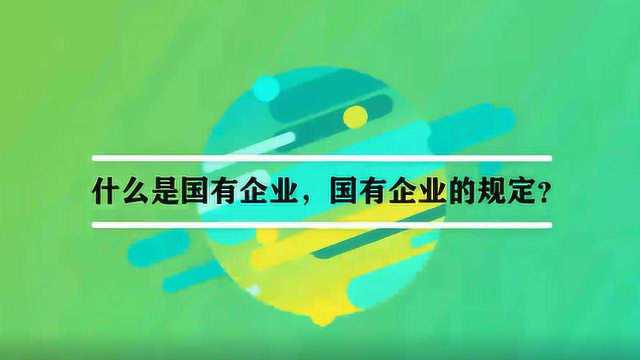 什么是国有企业,国有企业的规定?