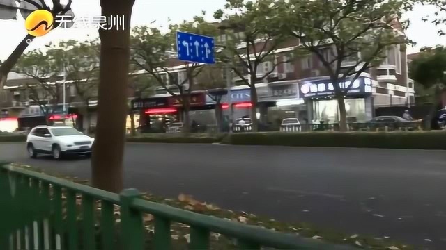 泉州城西路:刺桐树往下“滴油” 市民经过时像下雨