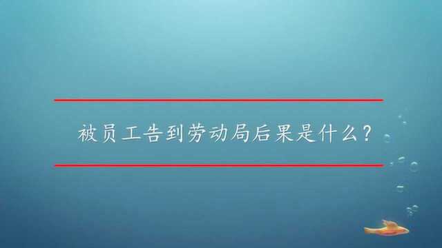 被员工告到劳动局后果是什么?