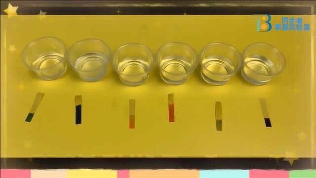 和科学奶奶一起玩科学寻找酸和碱