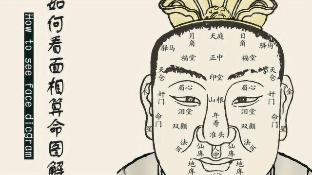 看看你有“发财相”吗?面相有这6种特征,一辈子必是大富大贵之人!