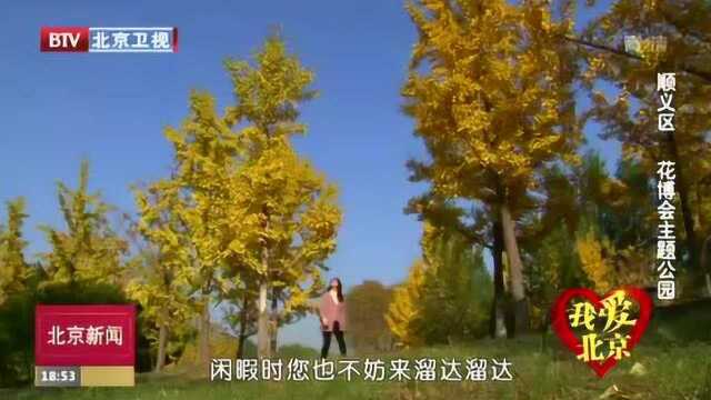 我爱北京:顺义区花博会主题公园