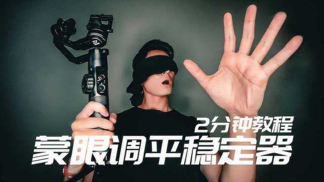 【教程】2分钟调平任何稳定器!智云云鹤2 Zhiyun Crane 2