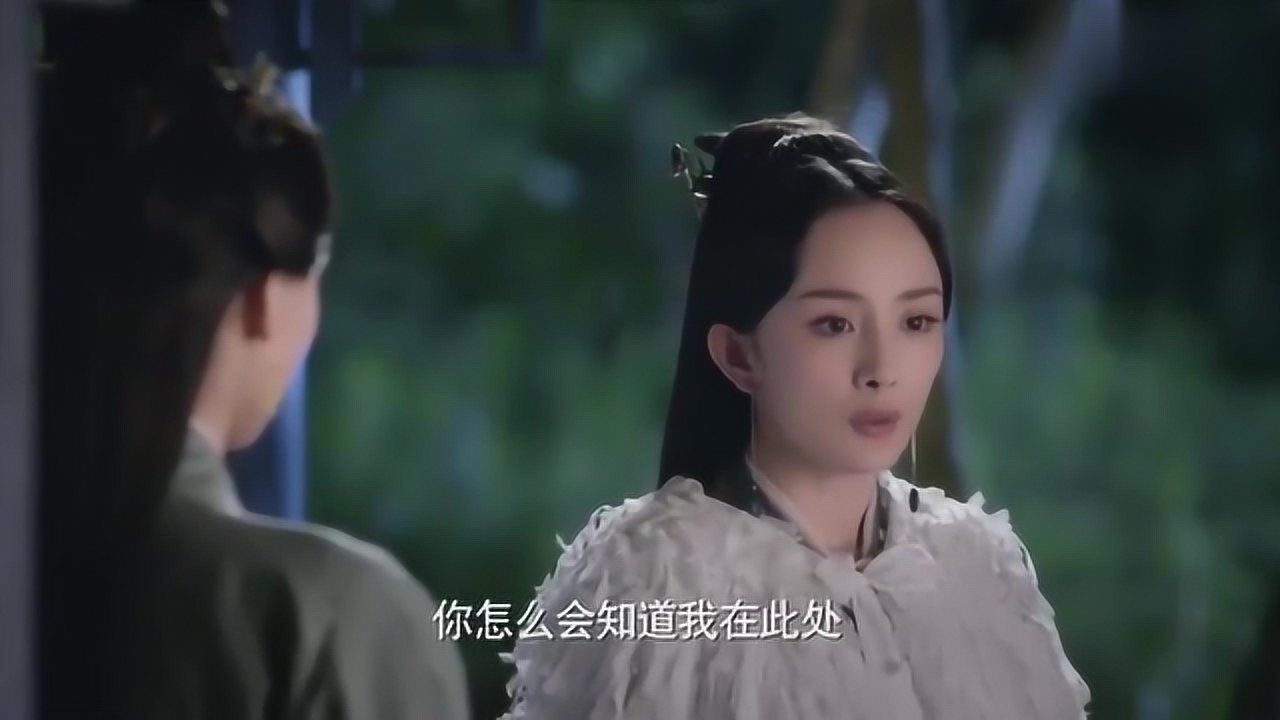 三生三世十里桃花夜华历劫金屋藏娇惹怒白浅