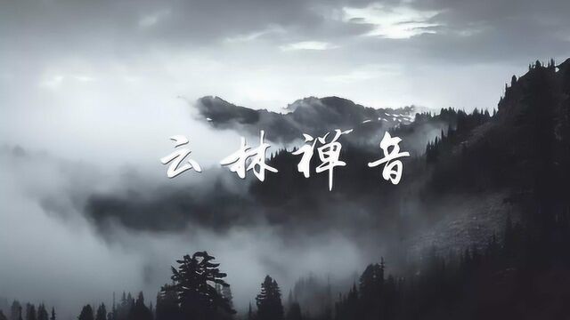 琴箫版《云林禅音》灵动旋律,徐徐入耳,安抚心弦