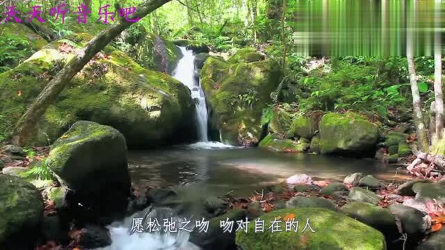 《鹤唳华亭》电视剧主题曲《出尘》金志文