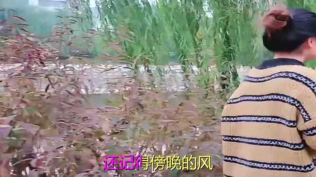 一首《下辈子做你的女人》细致好听,经典老歌欣赏