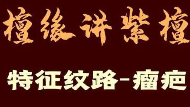 解析小叶紫檀佛珠瘤疤是如何产生怎样形成的 缨子及影纹