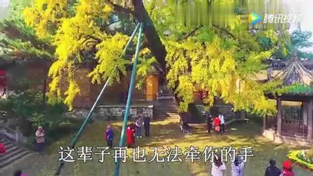 一首感人的歌曲《爸爸别走》!用流量听完的!感动天下多少儿女!