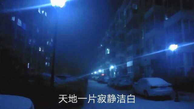 下雪啦!漫天飞舞的鹅毛大雪!你们喜欢的美景,小丽姐晚上11点终于拍到了