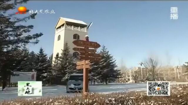 借景生金,农垦七星泡农场这样将绿水青山变成金山银山