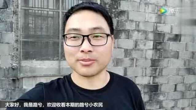 路兮现场演示腹接法!看似简单!成活率才是关键!