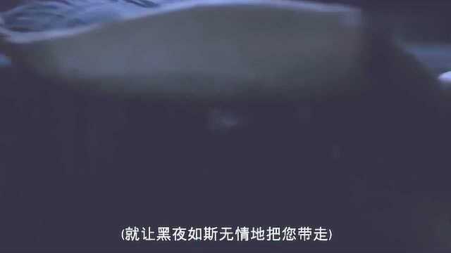 星月童话:来看看哥哥的日常,和美女竟然莫名相配,真是舒服啊!