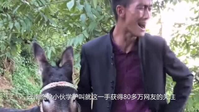 小伙学驴叫骗过真驴,凭借这张嘴养活全家成网红!