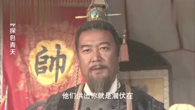 奸细刚一进帐,王爷立刻下令抓人,这下奸细只有把知道的全说了