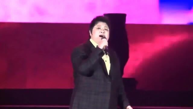 韩红现场演唱《红高粱》主题曲《九儿》,天籁般的歌声让人沉醉