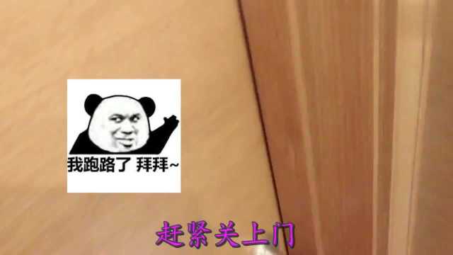 趁采采熟睡,用假水给采采洗头,一盆水浇下去都没醒,无硼砂