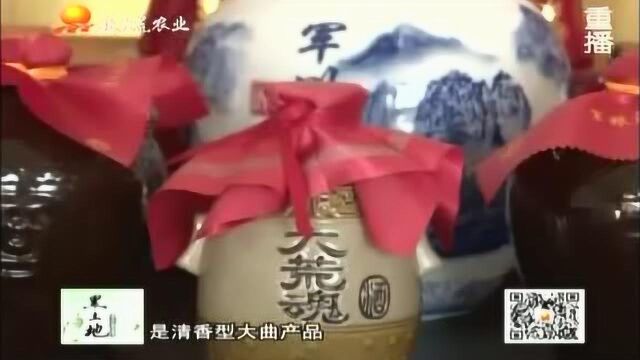 打造多元发展格局,农垦军川农场将白酒产业做出“大文章”