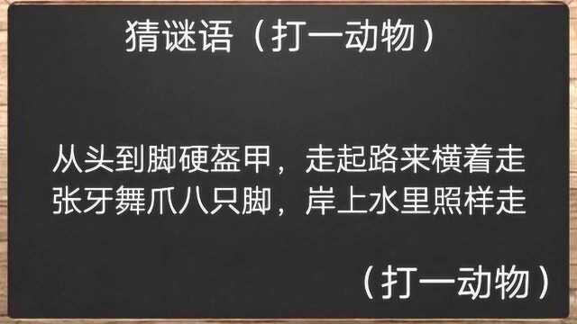 猜谜语(打一动物),二十秒时间,赶紧来猜一猜吧