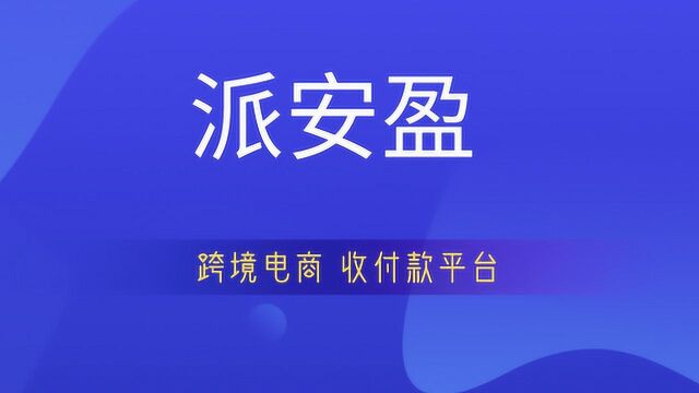 派安盈Payonee使用指南 注册教程 跨境电商 收付款平台