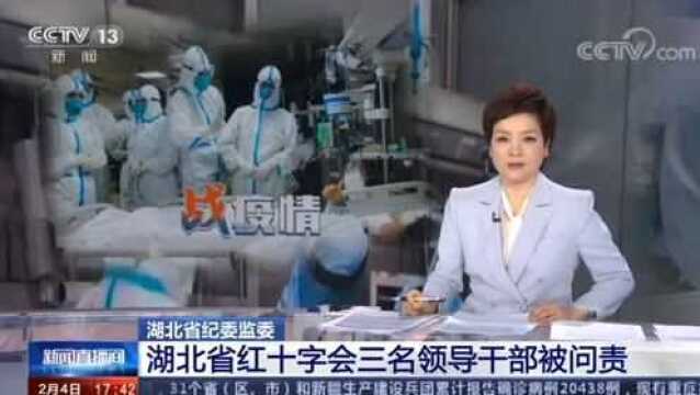 湖北省纪委监委 湖北省红十字会三名领导干部被问责