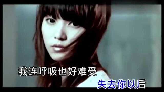 欢子《心痛2009》拥抱过后你转身就走,我笑着说再见心却在颤抖