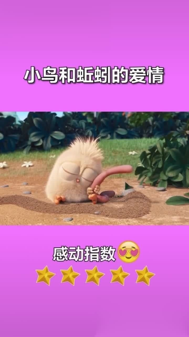 小鸟和蚯蚓的爱情故事告诉我们:吃东西要嚼