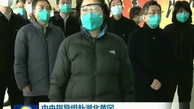 中央指导组赴黄冈指导落实“应收尽收”举措