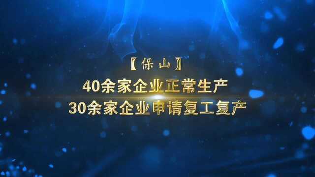 保山:40余家企业正常生产 30余家企业申请复工复产