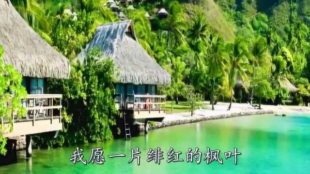 心若在爱就在 怎经得起流年的等待