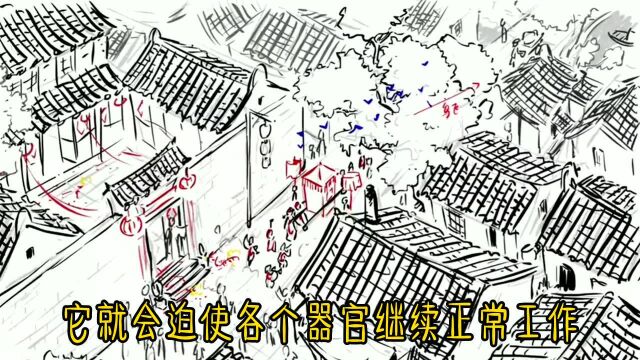 “早酒晚茶五更色”,还有下一句,老祖宗的劝世良言