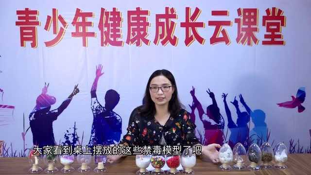 惠来县团委青少年健康云课堂瑧品传媒