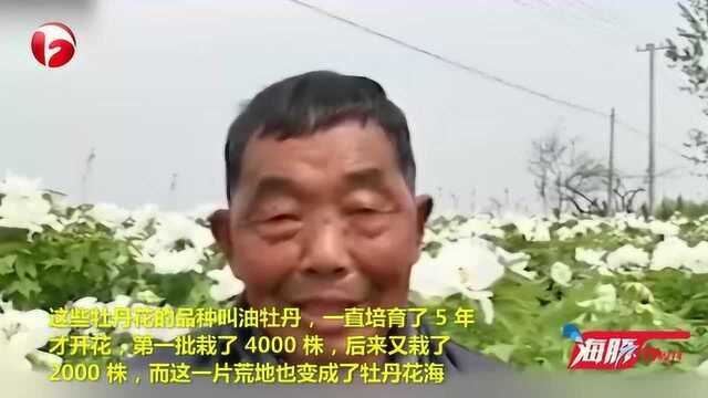 一往情深!八旬老人十年间为亡妻种出花海:她爱花,我爱她