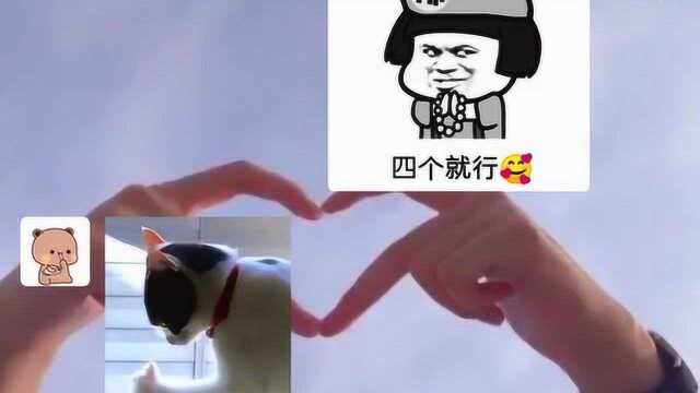 姐妹们,“一妻多夫制”了解一下