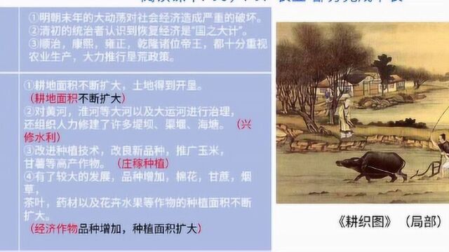 学生微课074:清朝前期社会经济的发展