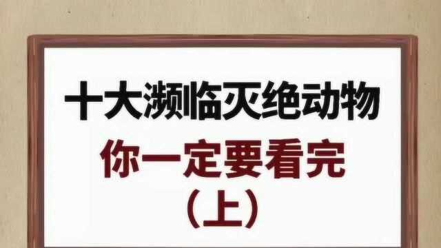 十大濒临灭绝动物,你认识几个?一起来看看吧.