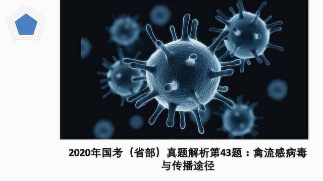 2020年国考(省部)真题解析第43题:禽流感病毒与传播途径